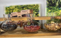 探索美国拉斯维加斯美容展 Cosmoprof North America的最佳内幕指南