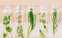 韩国首尔个人护理及化妆品原料展览会 In-Cosmetics Korea2025 年亚洲化妆品展将推出突破性成分创新