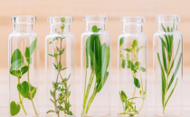 泰国亚洲化妆品及个人护理原料展览会 In-Cosmetics Asia2025 年亚洲化妆品展将推出突破性成分创新