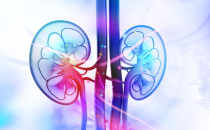 上海世界医药合同定制服务展 ICSE China，CPHI 2025制药原料展行业简讯抗体治疗在狼疮肾病中显示出潜力