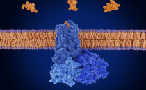 上海世界医药包装展览会PMEC中国制药机械展简讯 Novartis 和 Ratio 将推进下一代放射治疗