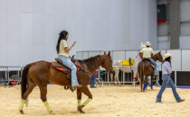 巴西圣保罗康复护理展览会 REATECH针对狗、马及其他动物的方法展示了残障人士身体和情感康复的进展，结合了包容性、同理心和临床效果