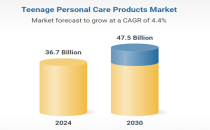 青少年个人护理产品&mdash;&mdash;全球战略商业报告