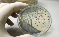 中国上海世界制药原料展 CPhI China