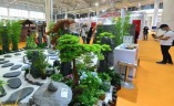 厦门国际花卉园艺展览会