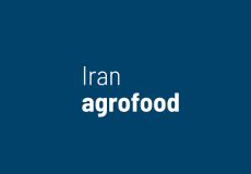 伊朗德黑兰食品加工及包装展览会