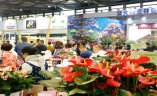 中国（上海）国际花卉园艺展览会