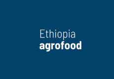 埃塞俄比亚食品展览会