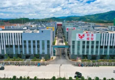 永州蓝山皮具箱包科技产业园奇秀工业园